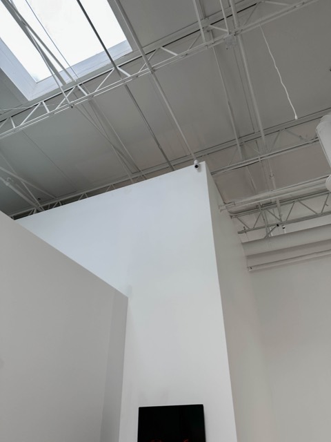 Ceiling structure with cabling