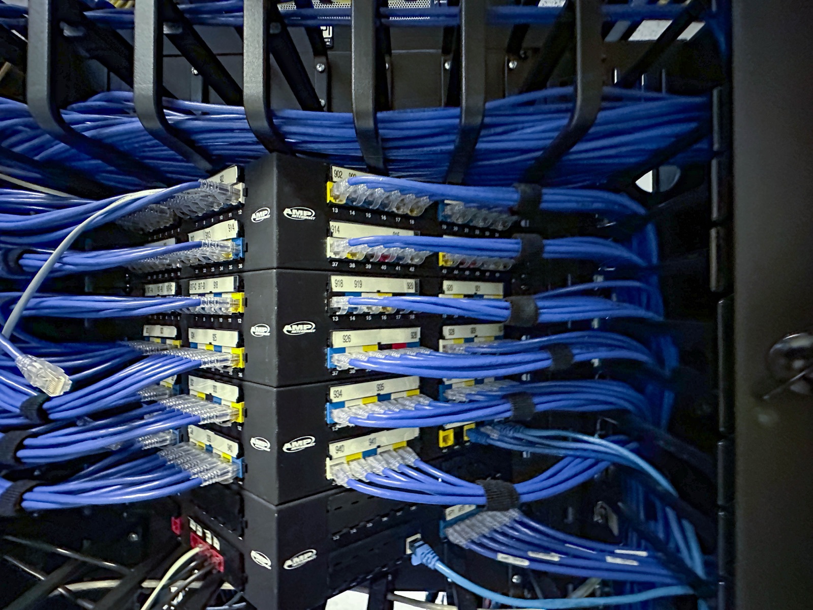 Rack with dense blue patch cabling