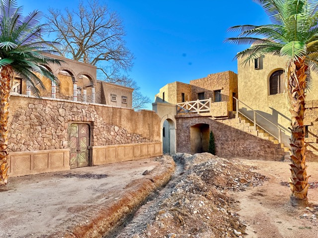 Set street with a palm tree and stairs